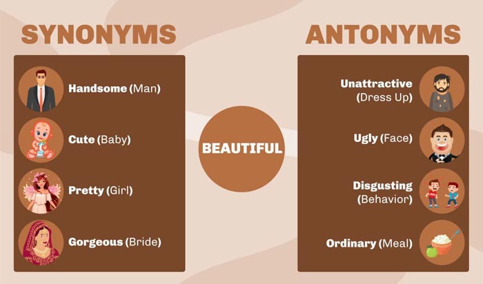 Synonyms & Antonyms: A Complete Guide with Examples